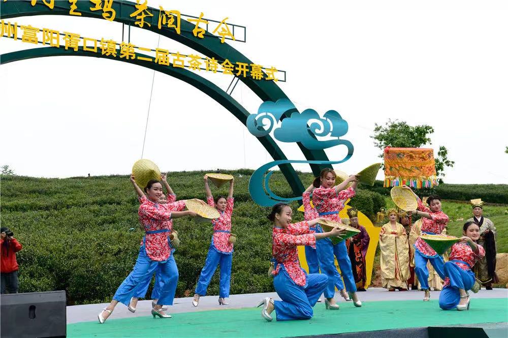 古茶诗会1.jpg
